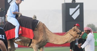 中東初のプロ野球リーグが描く奇想天外な新たな野球ラクダで入場、マネーボール、ファイアーボール...