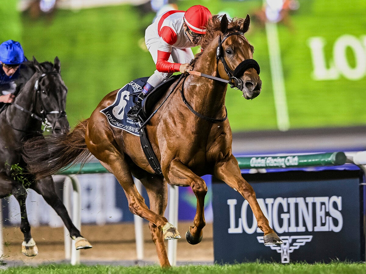 【競馬予想】メイショウタバルが主導権を握る大阪杯で人気薄の台頭は微妙勝ち負けが見込めるのは状態抜群の実力馬２頭
