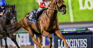 【競馬予想】メイショウタバルが主導権を握る大阪杯で人気薄の台頭は微妙勝ち負けが見込めるのは状態抜群の実力馬２頭