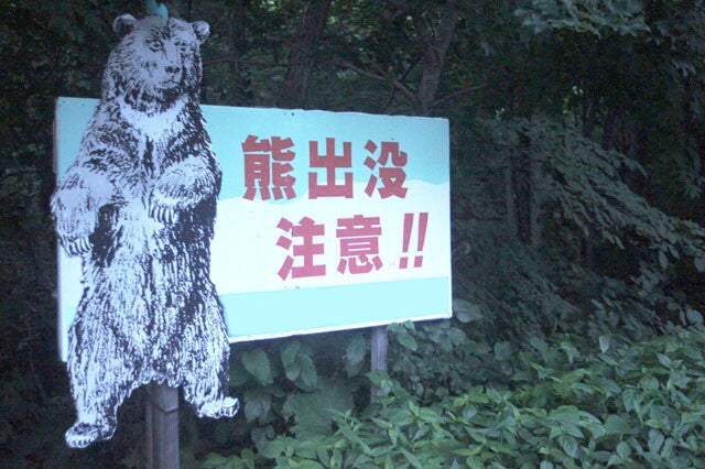 熊を撃つよりシカを撃て!?現役ハンターが指摘する意外な「熊害防止策」