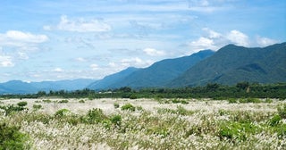 風はどこからやってくるの？風が吹くメカニズムを教えて！