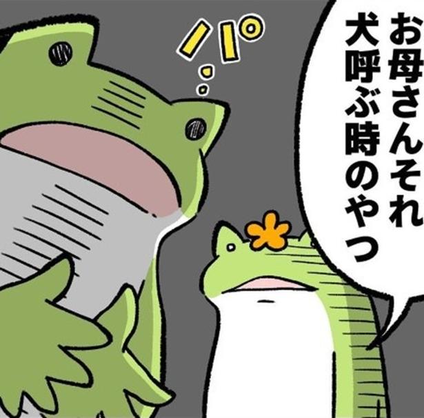愛犬2匹を迎えた母「人間と動物だし間違えるわけない」→数年後「イチタロウ(長男)、ハウス！」と声高らかに叫んでしまった盛大な勘違い