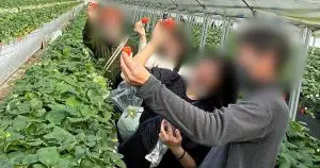 “カップル成立率”は5割…40代以上向け「婚活バスツアー」が盛況。「交流を図りやすくする」仕組みが大きな付加価値に