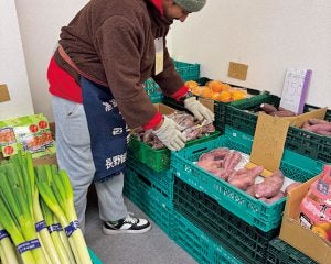 小松菜10円、大根99円…物価高なのに“異様に安い青果店”が成立する意外なワケ。B級品を買い叩くことはしない