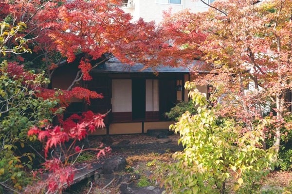 【東京都江東区】岩田家旧蔵品の特別オークション開催！重要美術品指定の品など珠玉の美術品306点集結