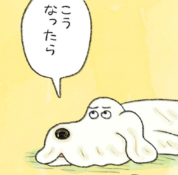 遊んでもらえず退屈な犬のジョン助。でも気を引く方法は心得ていて