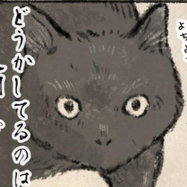 【ネコ】留守番6時間で怒りが限界！と思いきや「今日は吸ってもいいよ」とのギャップがたまらないネコ様に10万超えいいね【作者に聞く】