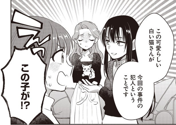 事件の犯人は管理人の白猫！？謎の音と声を出した理由は？／或いは、私の名探偵 1（12）