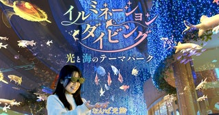 【大阪府大阪市】光と海の近未来の世界を体験！「イルミネーションダイビングなんば光旅」開催