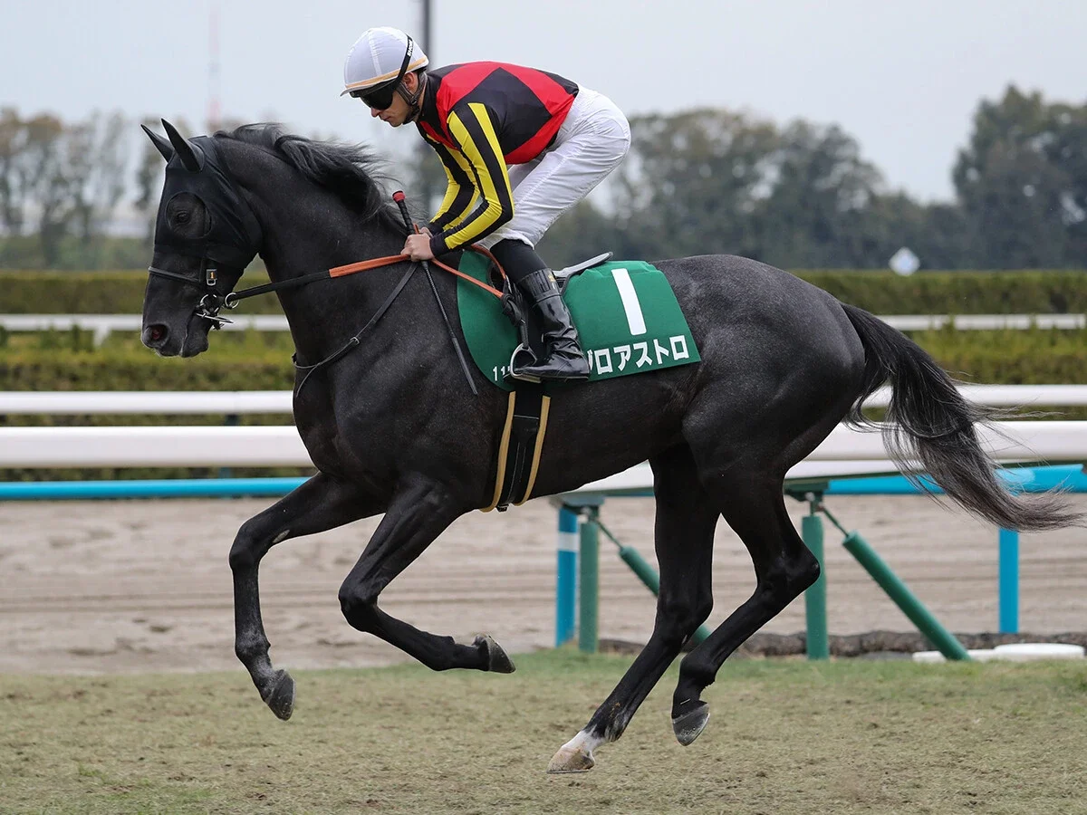 【競馬予想】皐月賞の有望株は弥生賞組にいる混戦状態で浮上する伏兵探しなら「相手なりに走れる馬」