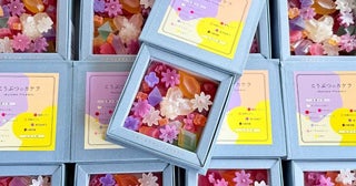 金木犀やコスモスが“宝石菓子”にハラペコラボが秋限定の琥珀糖を発売