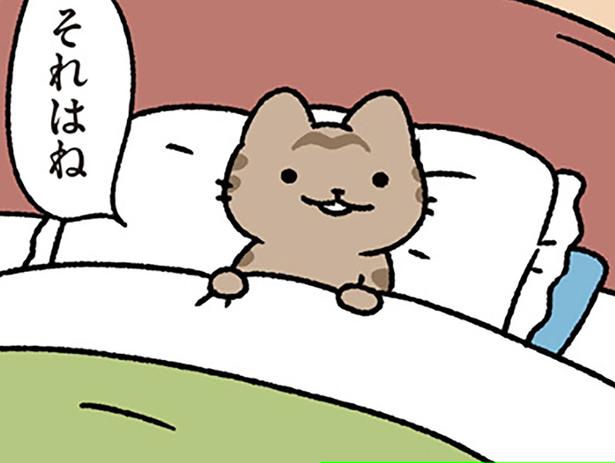 【赤ずきんとねこ】「ねぇ、どうして？」赤ずきんの質問に、ねこはどう答える？
