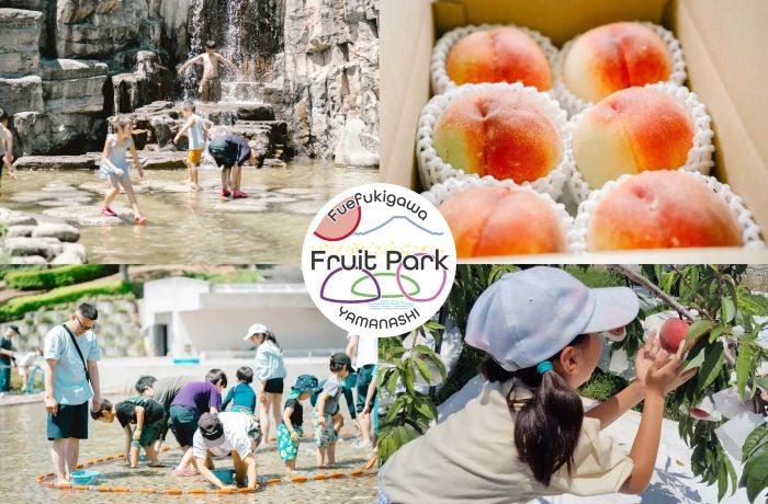 山梨県笛吹川フルーツ公園で旬の桃を堪能するイベント水遊びや魚のつかみ取りも楽しめる