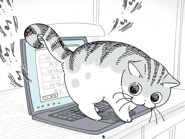 「どいてどいて」「どいてよ～」PCの上にいる猫をどかすための様々なやりかた