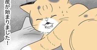 飼い猫が初めての出産。準備万端で待っていると「はっ!?うそー！」