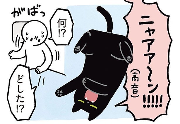 おもわず飼い主も飛び起きた。午前3時に大声で鳴き出した黒猫ろん
