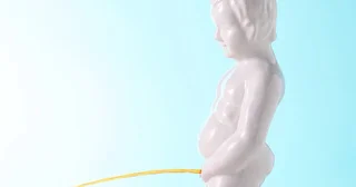 年々気になる「尿意にまつわる基礎知識」。最大何時間ガマンできる？ボンタンアメで尿意が遠のくってホント？年を取るとトイレが近くなるのはなぜ？