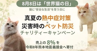 安心リモコン「ReReCo」が「世界猫の日」にちなんで売上の8%を熊本地震義援金へ寄附