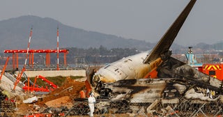 年間約1000件も発生！知られざる「バードストライク対策」の最前線