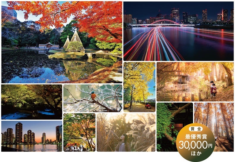 都立公園・庭園・隅田川で秋を楽しみ応募しよう「秋のTOKYO Instagramフォトコンテスト2024」開催