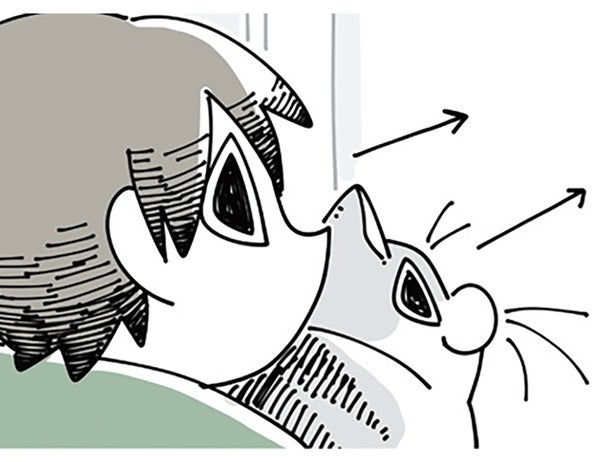 何かを目で追う猫。目線を合わせてみると大抵見つかるものは