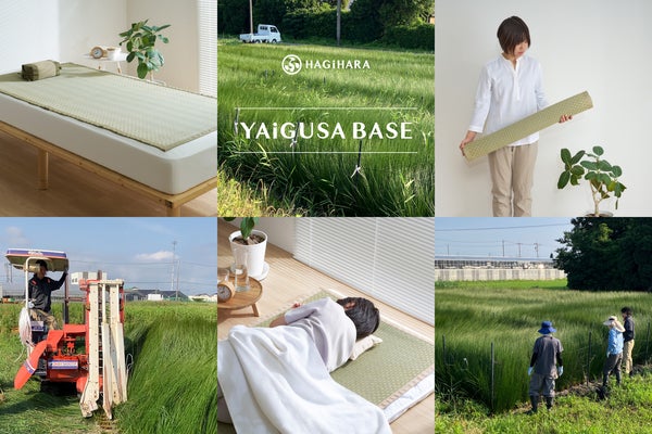 い草産業を未来につなぐ「YAiGUSA BASE」、静岡・焼津産のい草で作った寝ござを発売！