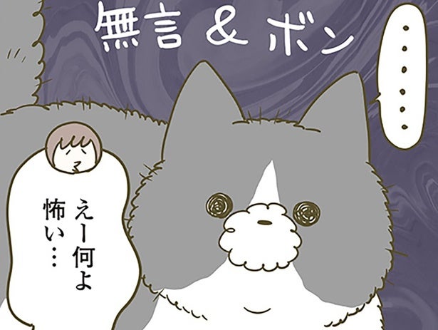 無言＆ボン！ 毛が逆立ってひと回り大きくなっている猫の謎