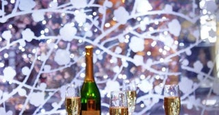新宿でコスパ最強！4,000円以下で個室＆半個室の飲み放題5選。かまくら個室やダーツが楽しめるパーティルームも