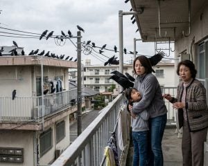「なんかカラス多くない？」原因は“他人のアパートに毎日ネコの餌を置いていく”高齢女性…問題を解決した意外な方法