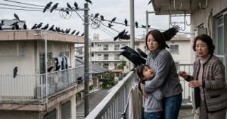 「なんかカラス多くない？」原因は“他人のアパートに毎日ネコの餌を置いていく”高齢女性…問題を解決した意外な方法