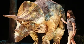 見て、学んで、楽しめる、体験型リアル恐竜ショー「恐竜パーク」を今年の夏も全国で開催