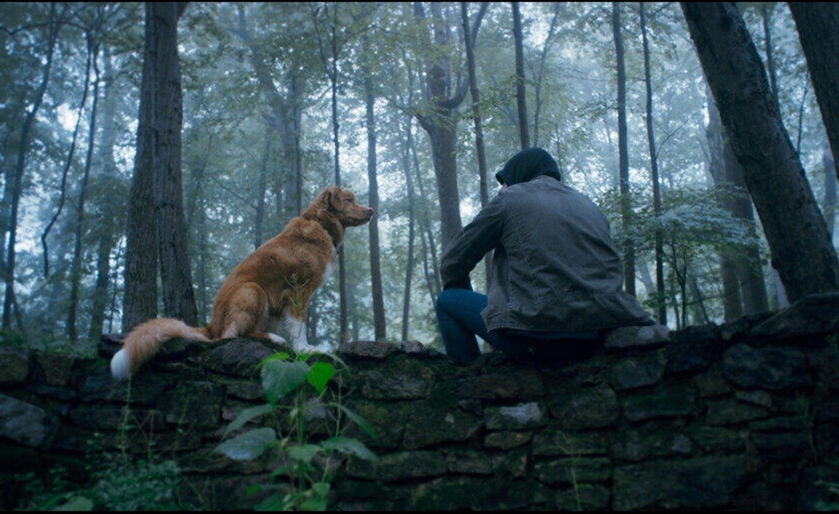 日本有数の映画ガイド・高橋ヨシキが『GOOD BOY／グッド・ボーイ』をレビュー！