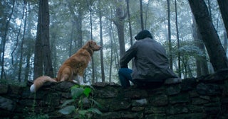 日本有数の映画ガイド・高橋ヨシキが『GOOD BOY／グッド・ボーイ』をレビュー！