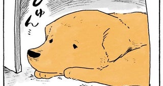 おばあちゃんに注意されてしゅん…。いたずらっ子レトリバーの反省タイム