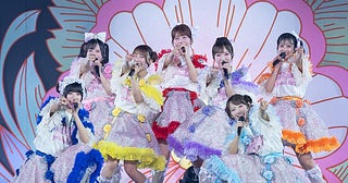 SWEET STEADY、「夢じゃないよね？ つねってみる？」初の日本武道館公演を発表