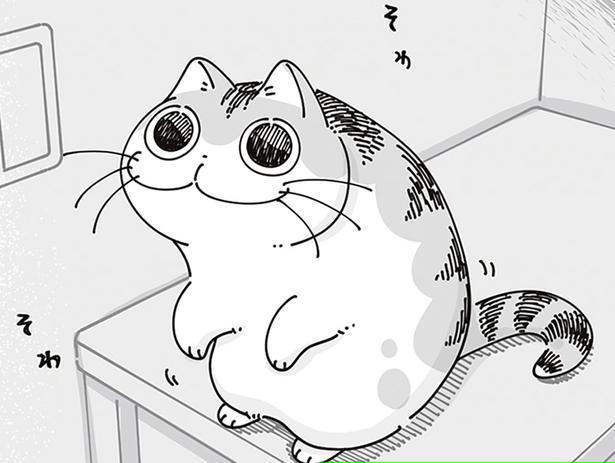 抱っこで連れ戻されていくネコ。別の日にも同じように抱っこしようとすると？
