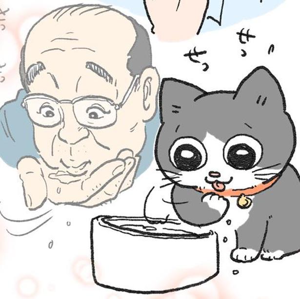 「おじさんが猫になった!!」1枚のイラストから始まった物語は、読者の反応で広がり海外にもファンが続出【作者インタビュー】