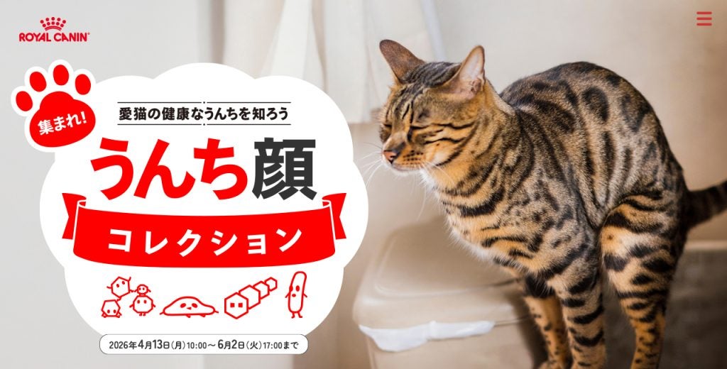 猫の健康への知識を深めよう、「集まれ“うんち顔”コレクション」ロイヤルカナンが愛らしい猫ちゃんの「うんち顔」写真を大募集