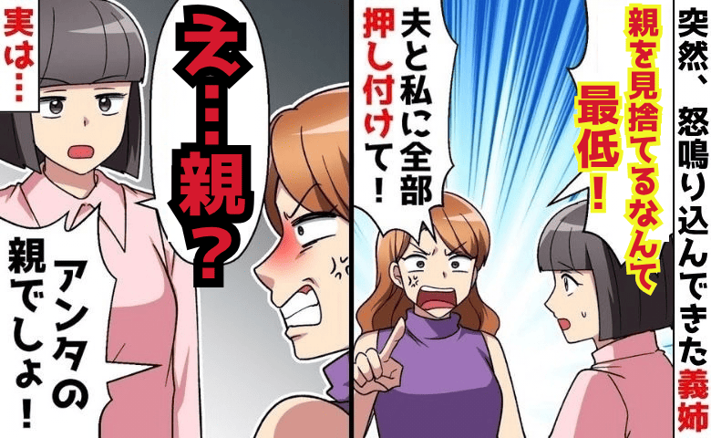 初対面の兄嫁「介護を押し付けるな！親を見捨てるなんて最低」罵倒→私「親…？」食い違う主張…真実は