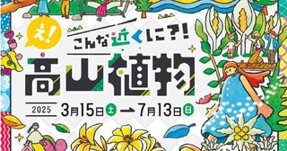 憧れの高嶺の花々に出会える3月15日から「え！こんな近くに？！高山植物」展