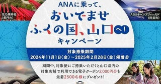 ANA、東京/羽田～山口宇部・岩国線の利用で2,000円分電子クーポンを配布