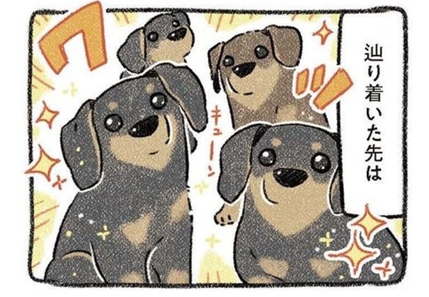 「もう犬は飼わない」4年で愛犬と死別も、元野良犬たちと出会い「優しい世界」を取り戻す感動秘話【作者に聞く】
