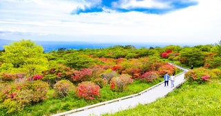 朝食前のつつじ園散策「つつじdeさんぽ」日光国立公園90周年の記念企画