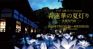 「そうだ 京都、行こう。」キャンペーン、夏の京都旅情報を一挙公開！蓮で彩られる青蓮院門跡夜間特別ライトアップに注目