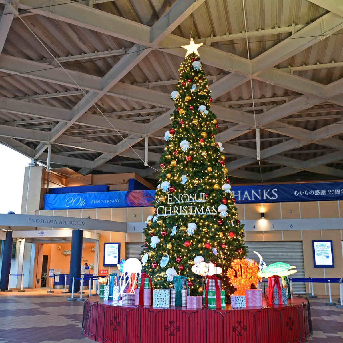 新江ノ島水族館で、海の生き物たちとクリスマスを過ごせる「ENOSUI CHRISTMAS」が開催中！