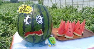 今年の「鳥取すいか」は6月～7月上旬が出荷のピーク仕事帰りにイートインできる‟縁側”も登場