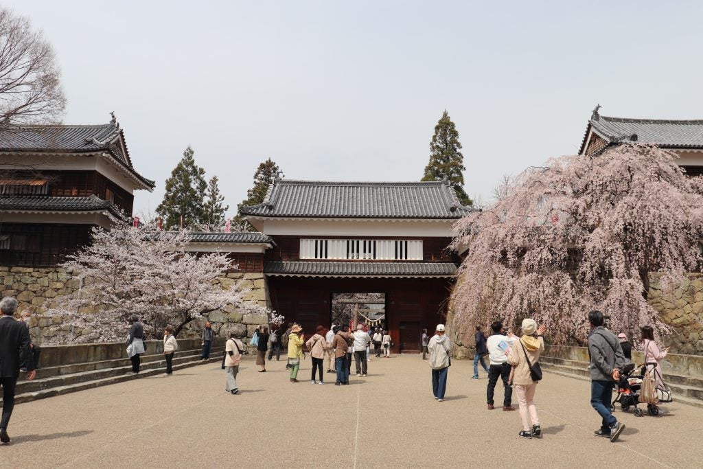 城跡の公園に約1000本の桜が咲き誇る「第23回上田城千本桜まつり」を開催