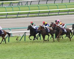 「G1馬にこれは酷い」スプリンターズSで波紋…パンジャタワー惨敗後に広がった“ゲート入り直前の長ムチ”