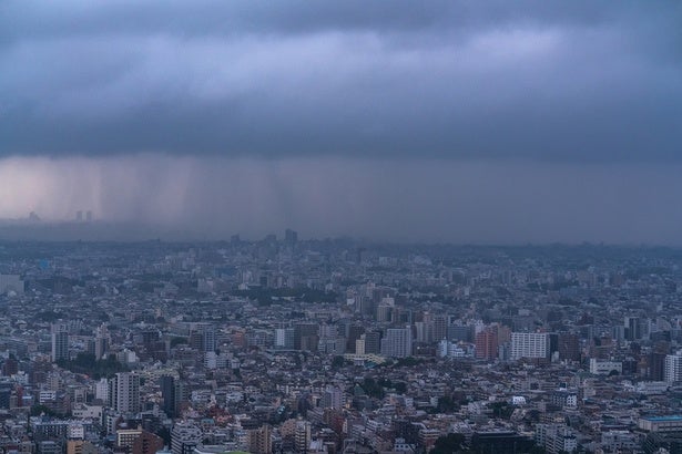 天気予報の「晴れ」と「曇り」の境界線はどこ？判別する基準とは