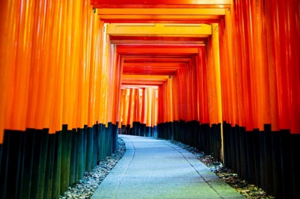 【夢占い】鳥居の夢を見ると願いがかなう？色別・シーン別でも詳しく解説